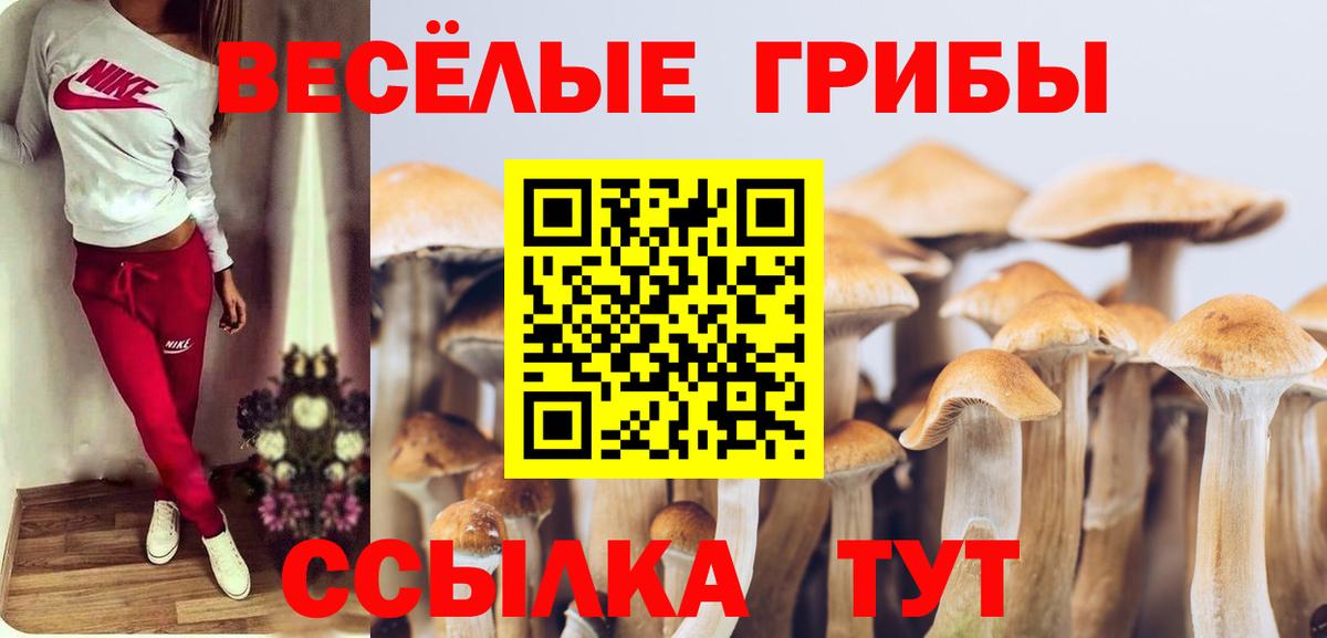 COCAIN Серпухов