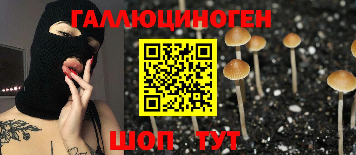 Серпухов  Галлюциногенные грибы мицелий  Вход с VPN 